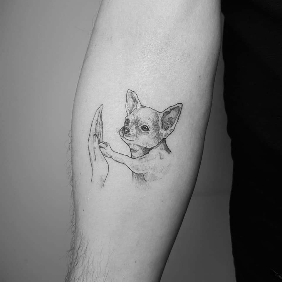 14 Of The Best Chihuahua Tattoo Ideas Ever - PetPress